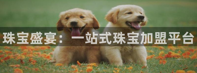 众腾娱乐公司简介