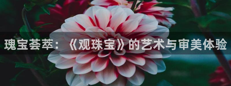 众腾娱乐登入探索无限空间