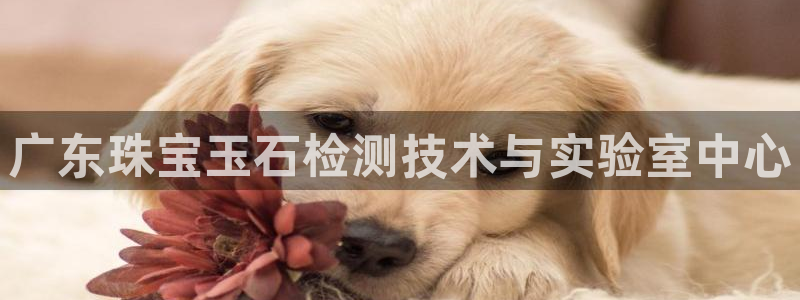 众腾娱乐文化怎么样