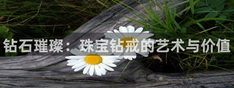 众腾娱乐app