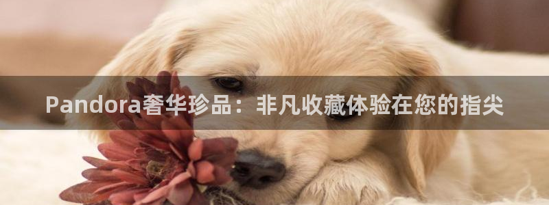 众腾娱乐集团有限公司