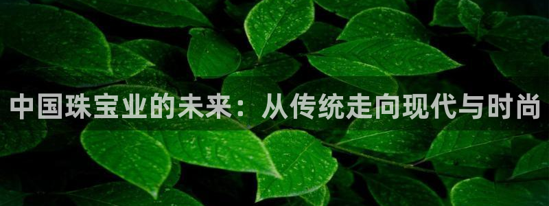 众腾娱乐APP下载