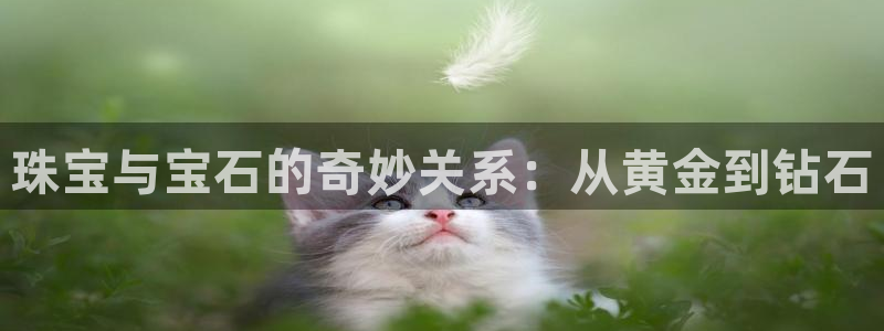 腾众娱乐