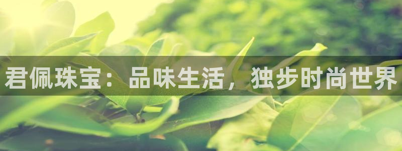 众腾娱乐app