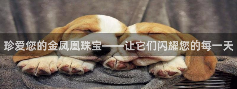 腾众娱乐