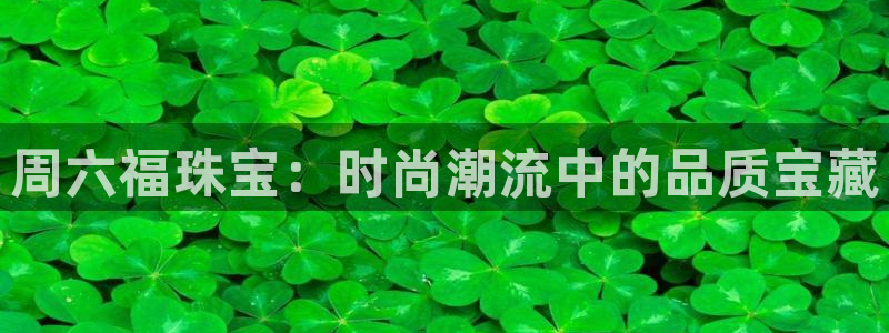 楚雄众腾娱乐在哪里
