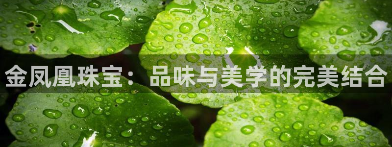 众腾娱乐登入探索无限空间
