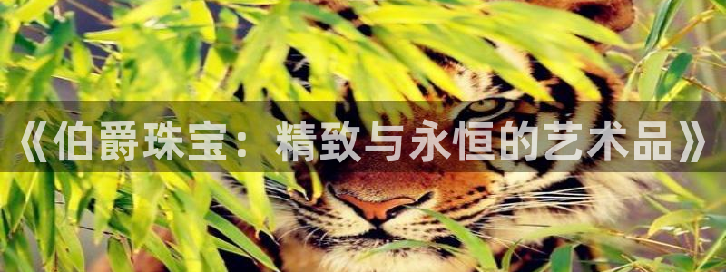 众腾娱乐平台