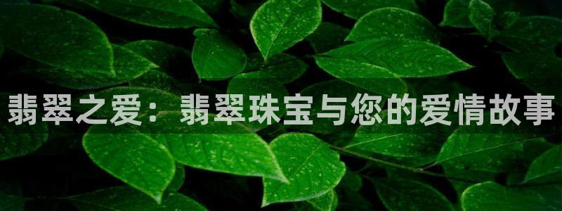 众腾娱乐客服