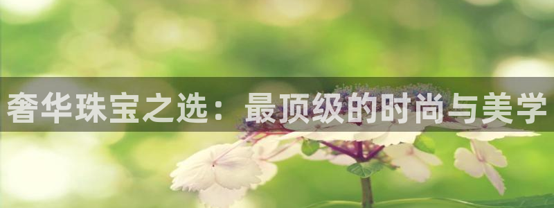 众腾娱乐招商