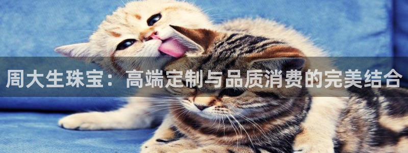 腾众娱乐的彩票靠谱吗