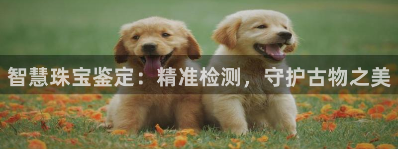 众腾娱乐梦幻演艺店