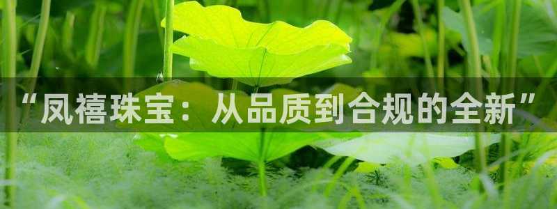 众腾娱乐毕 7O935