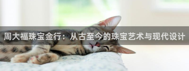 包头众腾娱乐密室逃脱
