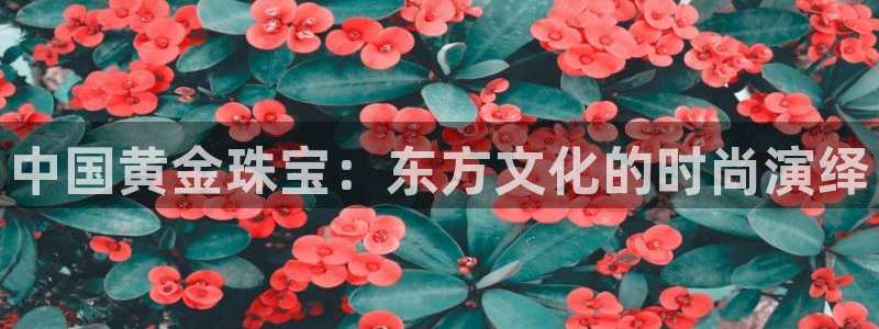 众腾娱乐邵阳