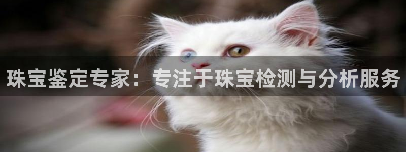 众腾娱乐开户