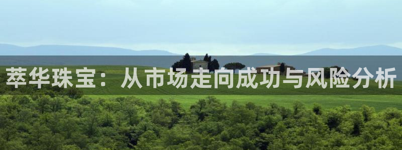 众腾娱乐集团有限公司：萃华珠宝：从市场走向成功与风险分析