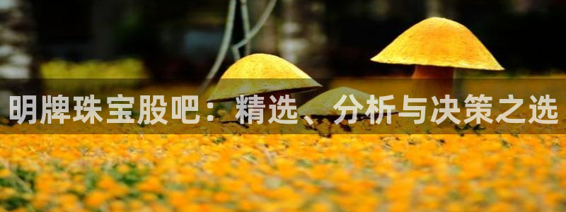 众腾娱乐邵阳：明牌珠宝股吧：精选、分析与决策之选