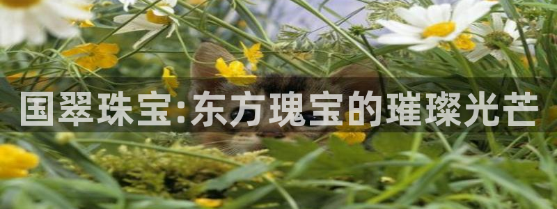众腾娱乐集团有限公司