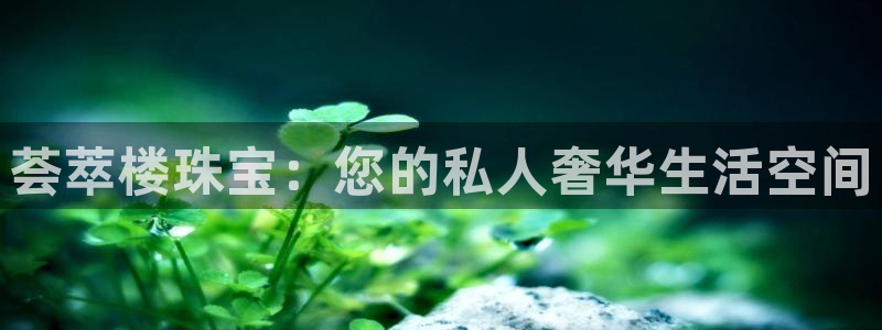 众腾娱乐平台官网入口