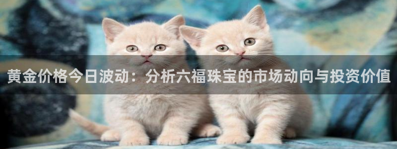 众联别墅g座上腾娱乐有限公司
