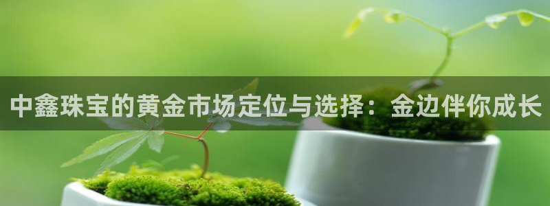 内蒙古众腾娱乐文化法人