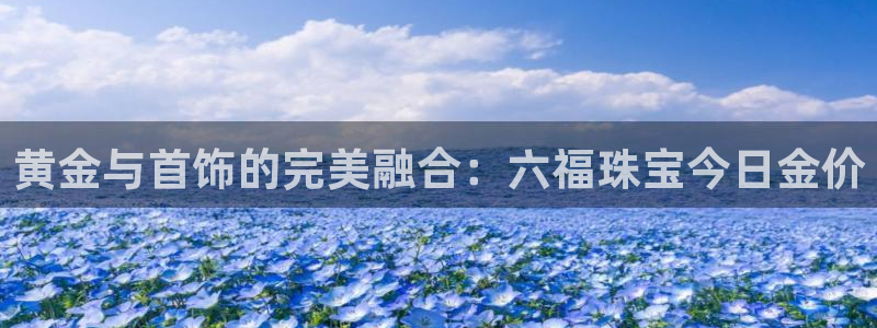 众腾娱乐招商