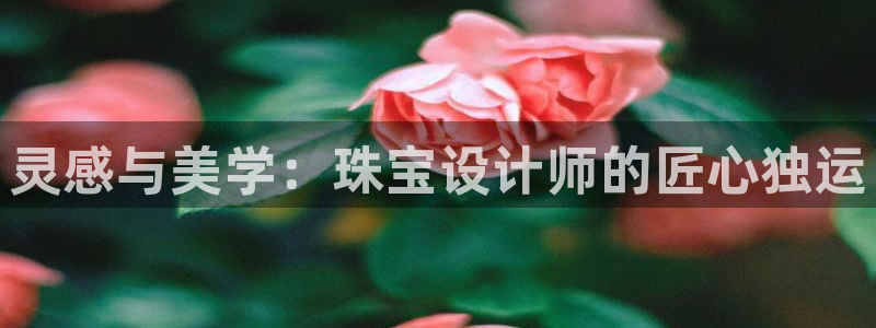 众腾娱乐代理怎么样