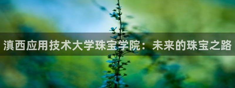 云南众腾娱乐：滇西应用技术大学珠宝学院：未来的珠宝之路