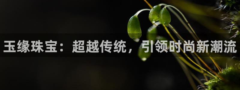 腾众娱乐的彩票靠谱吗