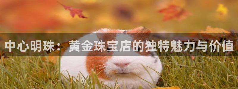 众腾娱乐邵阳