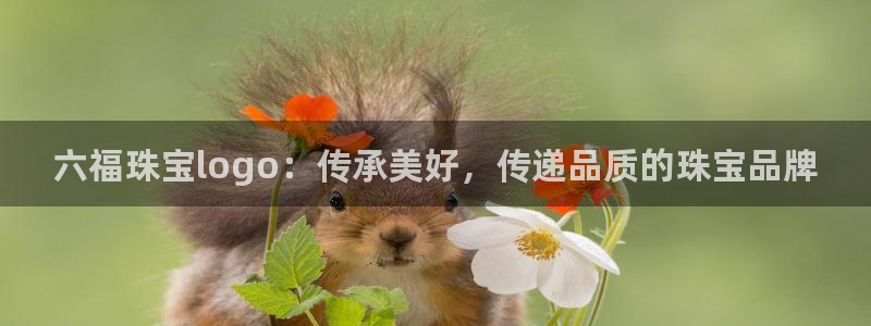 众腾娱乐集团有限公司