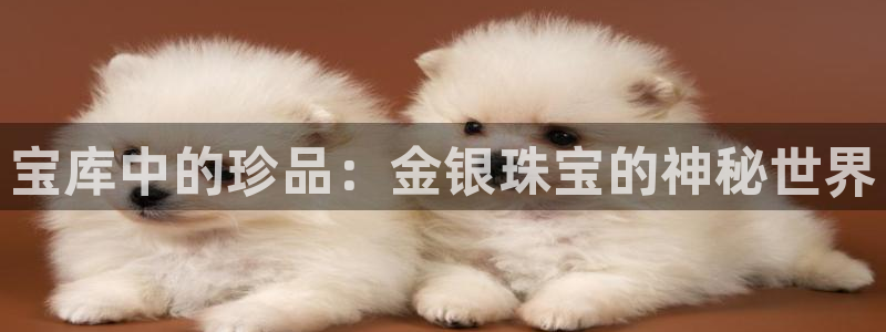 腾众娱乐：宝库中的珍品：金银珠宝的神秘世界