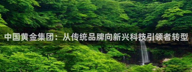 众联别墅g座上腾娱乐有限公司：中国黄金集团：从传统品牌向新兴