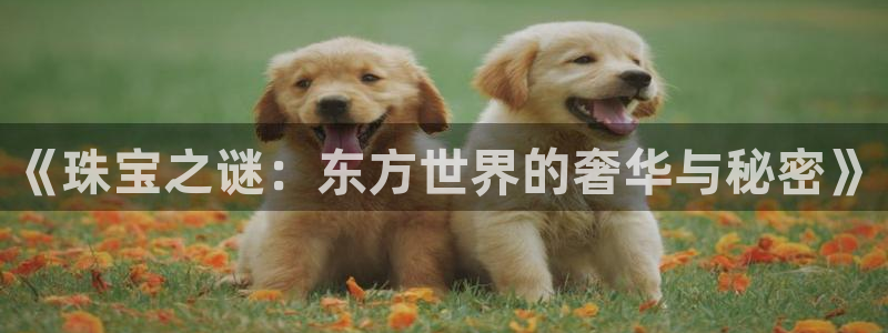 众腾娱乐app