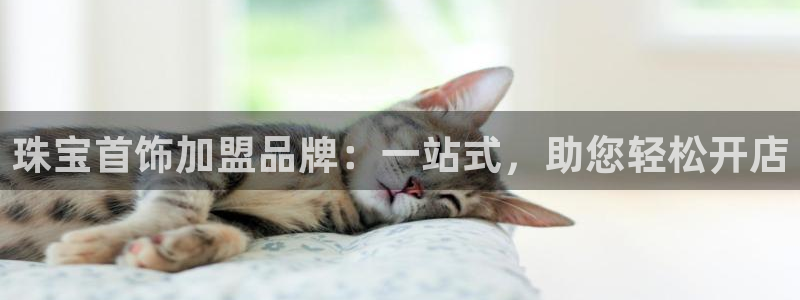 腾耀娱乐众推99840：珠宝首饰加盟品牌：一站式，助您轻松开