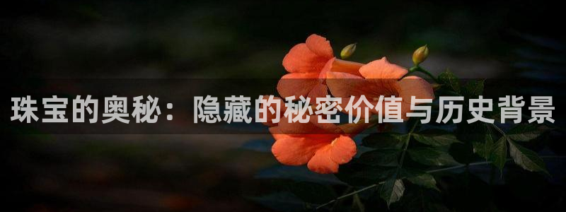 众腾娱乐平台群7O777：珠宝的奥秘：隐藏的秘密价值与历史背