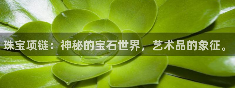 众腾娱乐毕 7O935