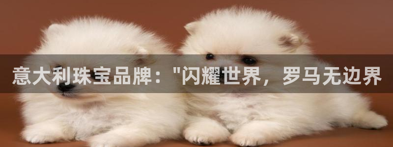 众腾娱乐公司简介