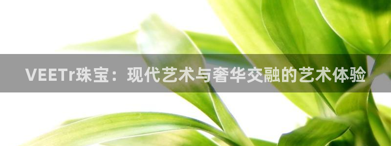 众腾娱乐梦幻演艺店