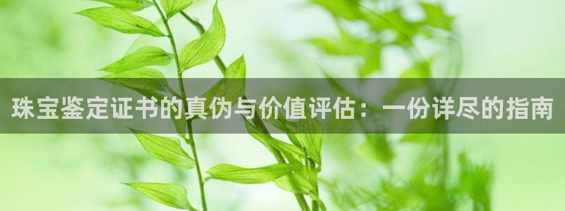 包头众腾娱乐密室逃脱