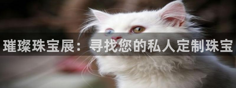 众腾娱乐平台官网入口