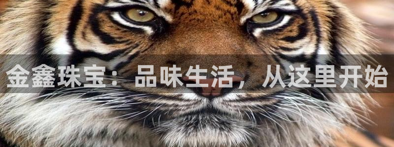 众腾娱乐代理怎么样