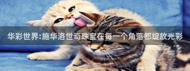 云南众腾娱乐