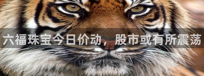 包头众腾娱乐密室逃脱