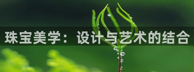 包头众腾娱乐密室逃脱