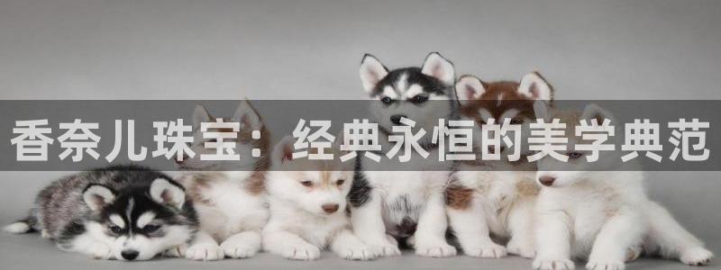 众腾娱乐登入探索无限空间：香奈儿珠宝：经典永恒的美学典范