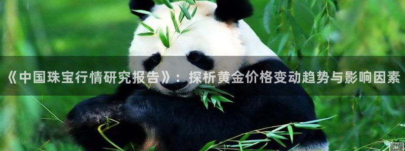 众腾娱乐总代理：《中国珠宝行情研究报告》：探析黄金价格变动趋
