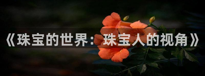 彝族自治州众腾娱乐