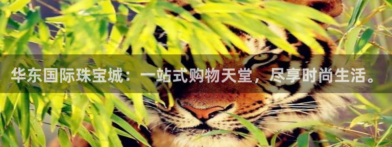 包头众腾娱乐密室逃脱